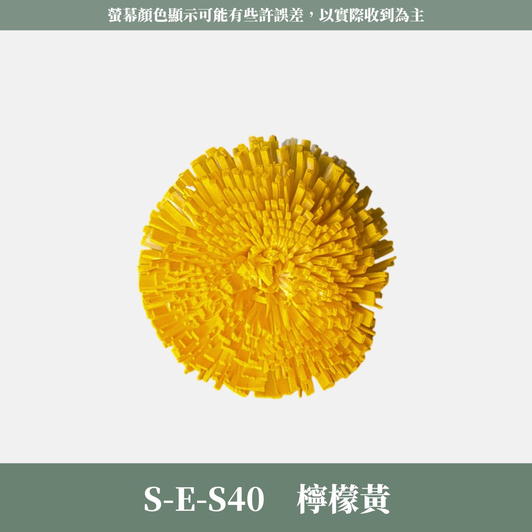 S-E 5CM乒乓菊索拉花｜五入原裝｜索拉花乾燥花 通草花 擴香花 微笑乒乓菊DIY 笑哈哈花束花材 乒乓花 乾燥花
