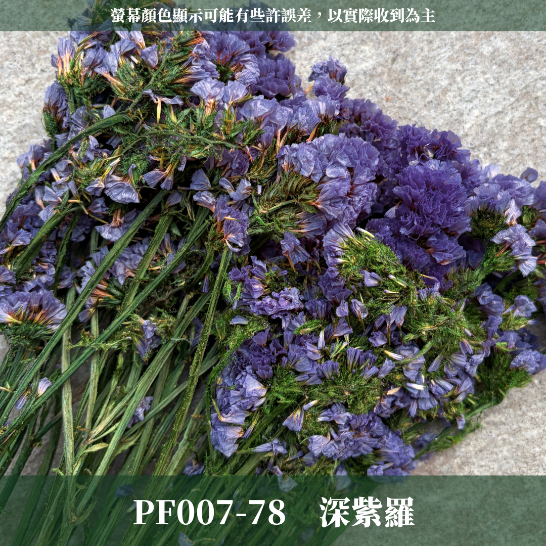 PF007 原裝永生星辰花｜勿忘我 不凋花 永生花材 花藝材料 婚禮花束 DIY捧花 拍照道具 手作素材 鄉村風擺飾