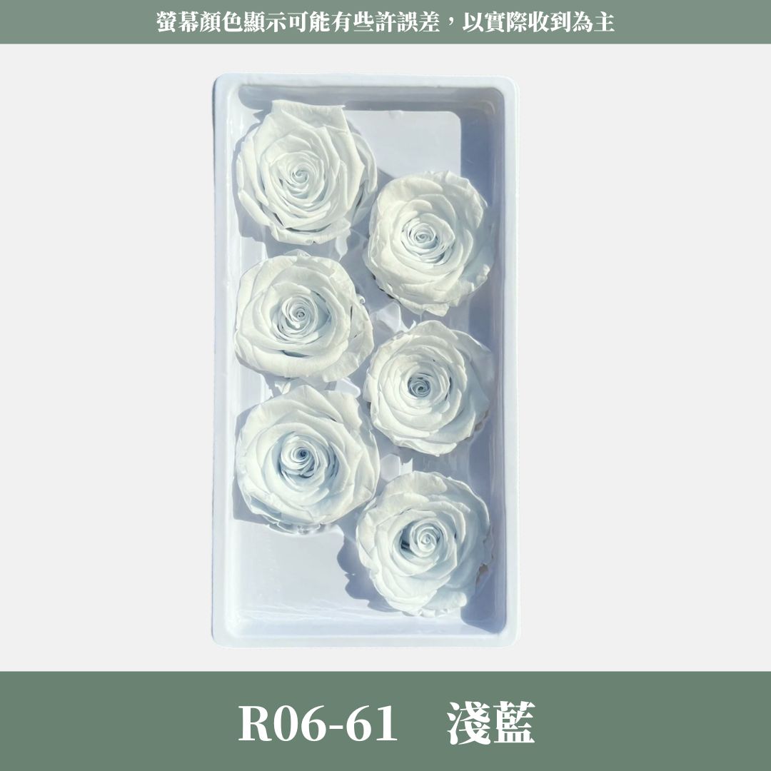 R06 A級六輪玫瑰｜約 5-6 cm｜花藝師必買 不凋大玫瑰花頭 永生玫瑰 香頌玫瑰 甦醒玫瑰 花束材料 捧花材料
