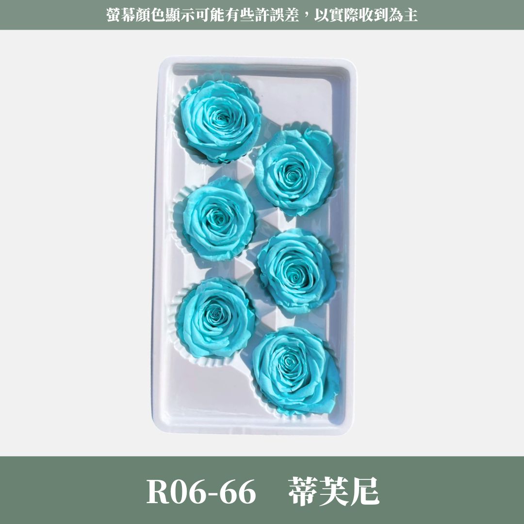 R06 A級六輪玫瑰｜約 5-6 cm｜花藝師必買 不凋大玫瑰花頭 永生玫瑰 香頌玫瑰 甦醒玫瑰 花束材料 捧花材料
