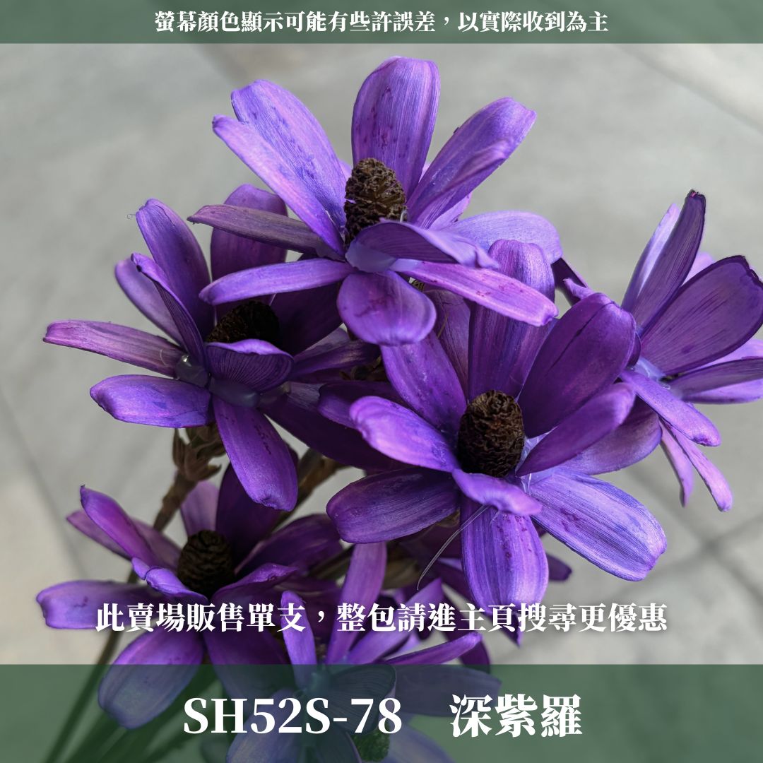 SH52S 小雛菊瓜子花單支｜5cm｜木片花 手工花 乾燥花 乾花新瓜子花 不凋花 永生花 花束花材 捧花材料 胸花手作