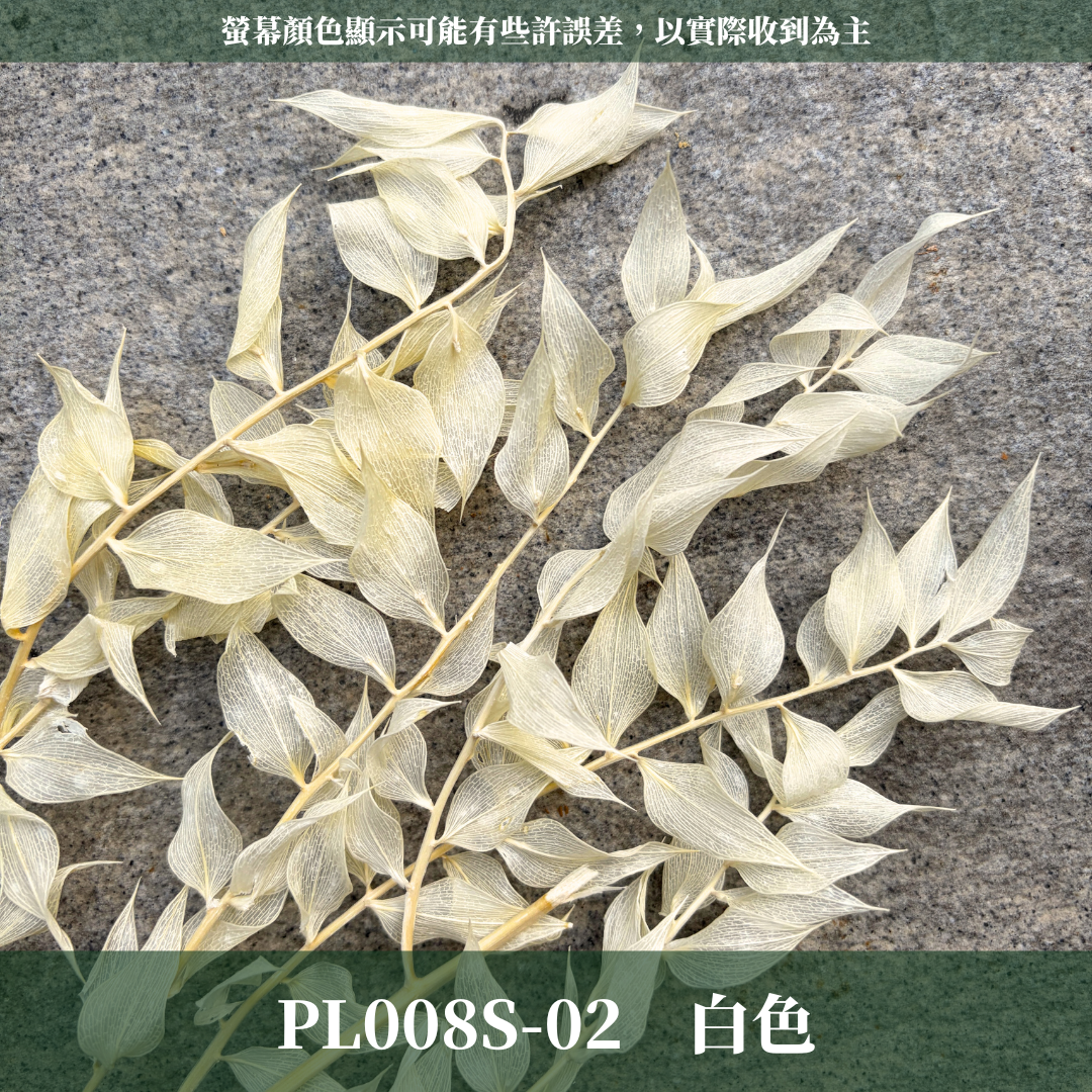 PL008S 永生富貴葉經濟包｜共五色！永生葉材 發財葉 批發價 乾燥花 永生花 熊貓竹 花藝材料 不凋花 小份量材料包