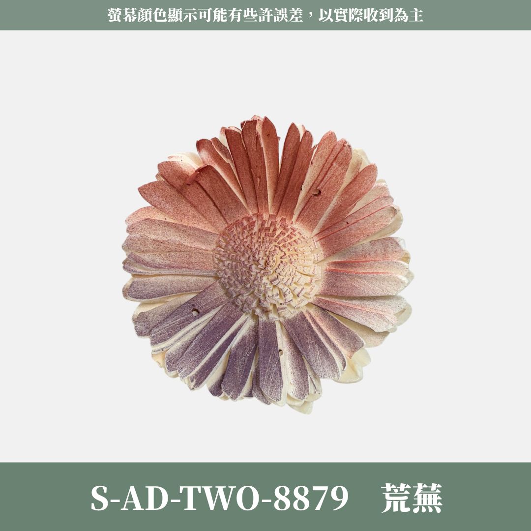 秋季感恩回饋｜S-AD-TWO 原裝雙色噴染太陽索拉花花頭｜限量款｜乾燥太陽花 索拉花 樹皮花 通草花 畢業乾燥向日葵