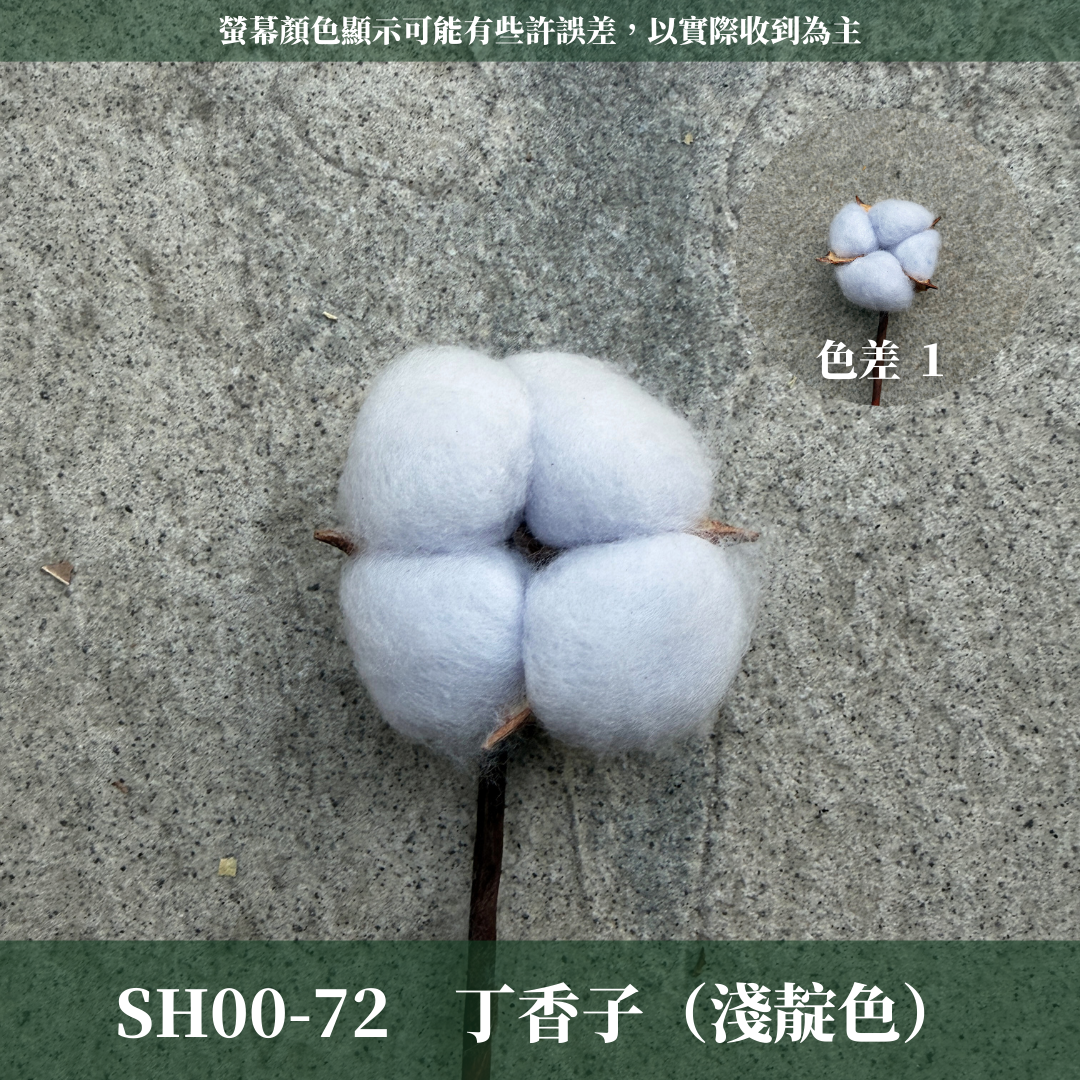 SH00s 棉花單支｜12+6種顏色 特殊五辦棉花特殊款 白色棉花 天然棉花 乾燥花 花藝 多色棉花 棉花 手工花 裝飾
