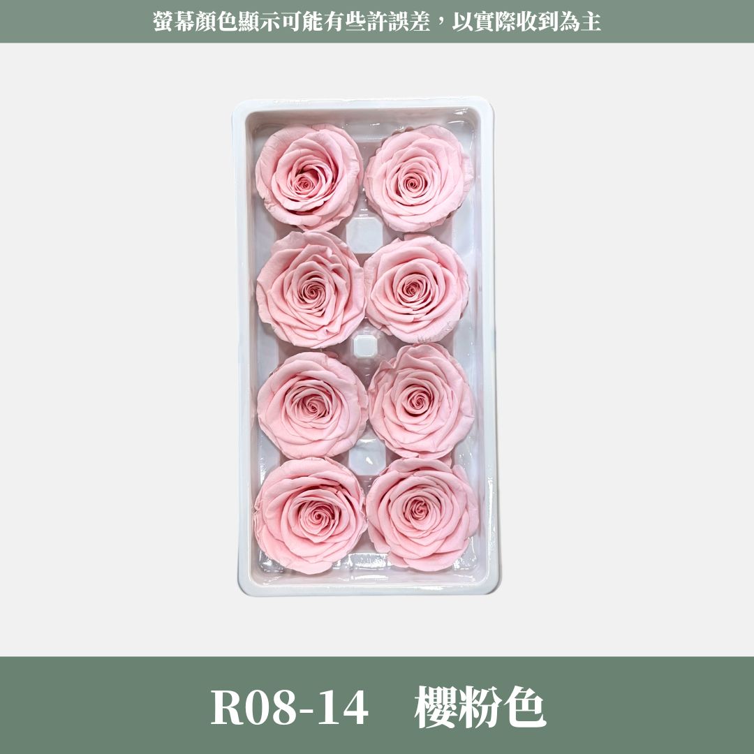 R08 A級八輪玫瑰｜約 4-5 cm｜花藝師必買 不凋大玫瑰花頭 永生玫瑰 香頌玫瑰 甦醒玫瑰 花束材料 捧花材料