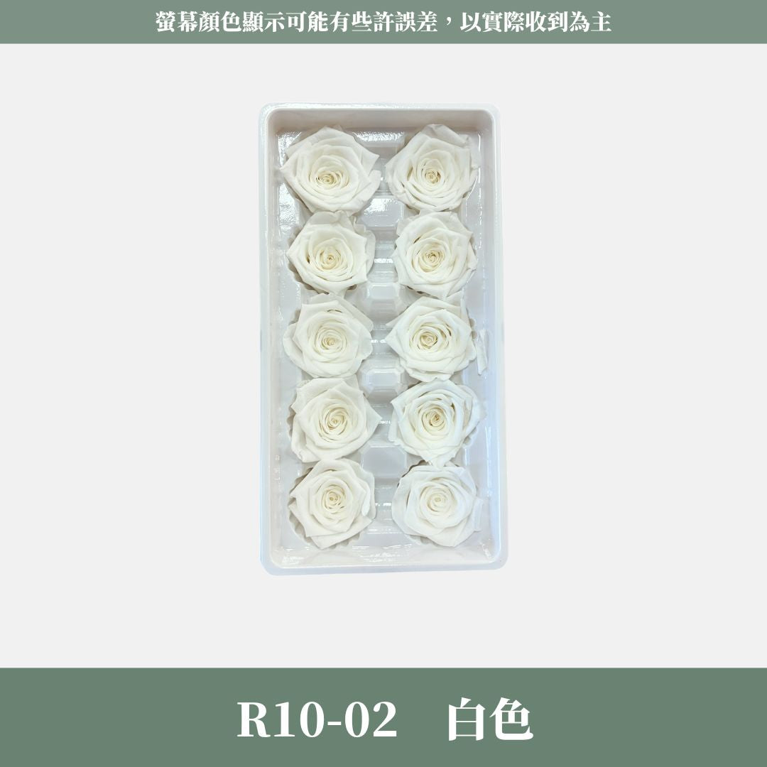 R10 A級十輪玫瑰｜約 3-4 cm｜花藝師必買 不凋大玫瑰花頭 永生玫瑰 香頌玫瑰 甦醒玫瑰 花束材料 捧花材料