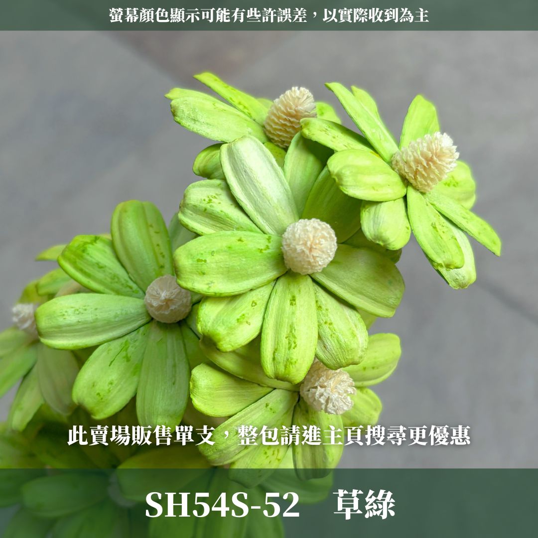 SH54S 木片瑪格麗特｜單支｜乾燥花批發 瓜子花 小雛菊 不凋花 木春菊 花藝設計 拍照道具 手工花 DIY 花藝插花