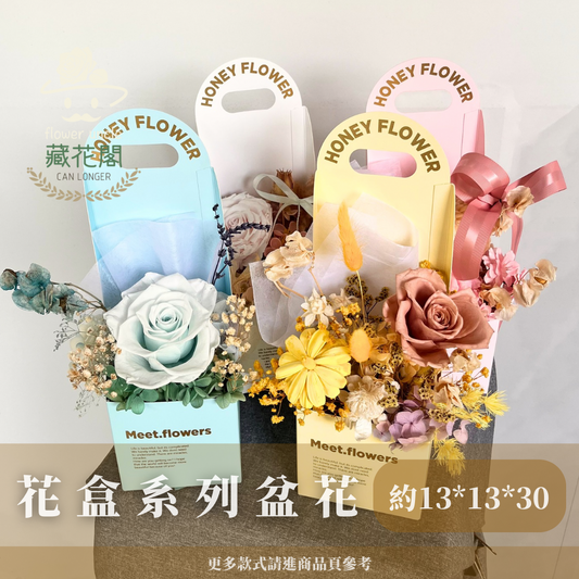 Gift-F071 花盒系列盆花 白色 黃色 粉色 藍色 花盒 盆花 開幕 送禮 慶賀 擺飾 裝飾品