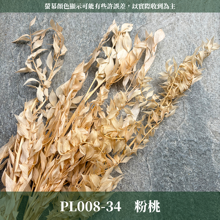 PL008 原裝永生富貴葉｜共五色！永生葉材 批發價 金色富貴葉 銀色富貴葉 乾燥花 永生花 熊貓竹 花藝材料 不凋花