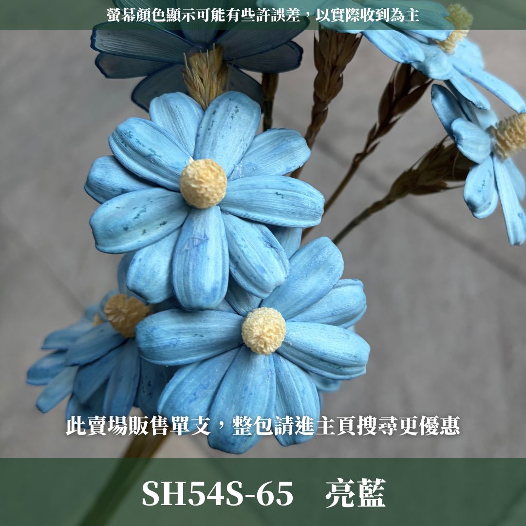 SH54S 木片瑪格麗特｜單支｜乾燥花批發 瓜子花 小雛菊 不凋花 木春菊 花藝設計 拍照道具 手工花 DIY 花藝插花