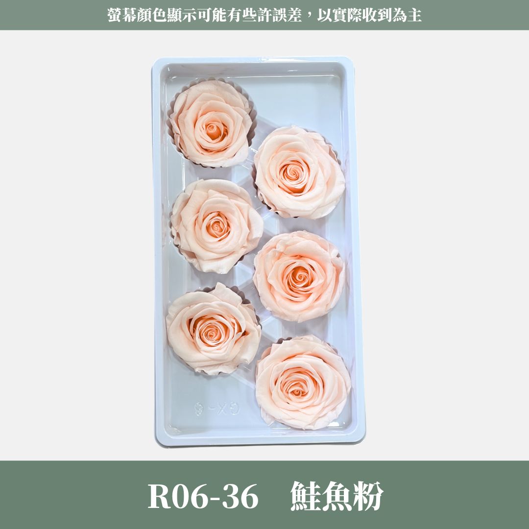 R06 A級六輪玫瑰｜約 5-6 cm｜花藝師必買 不凋大玫瑰花頭 永生玫瑰 香頌玫瑰 甦醒玫瑰 花束材料 捧花材料