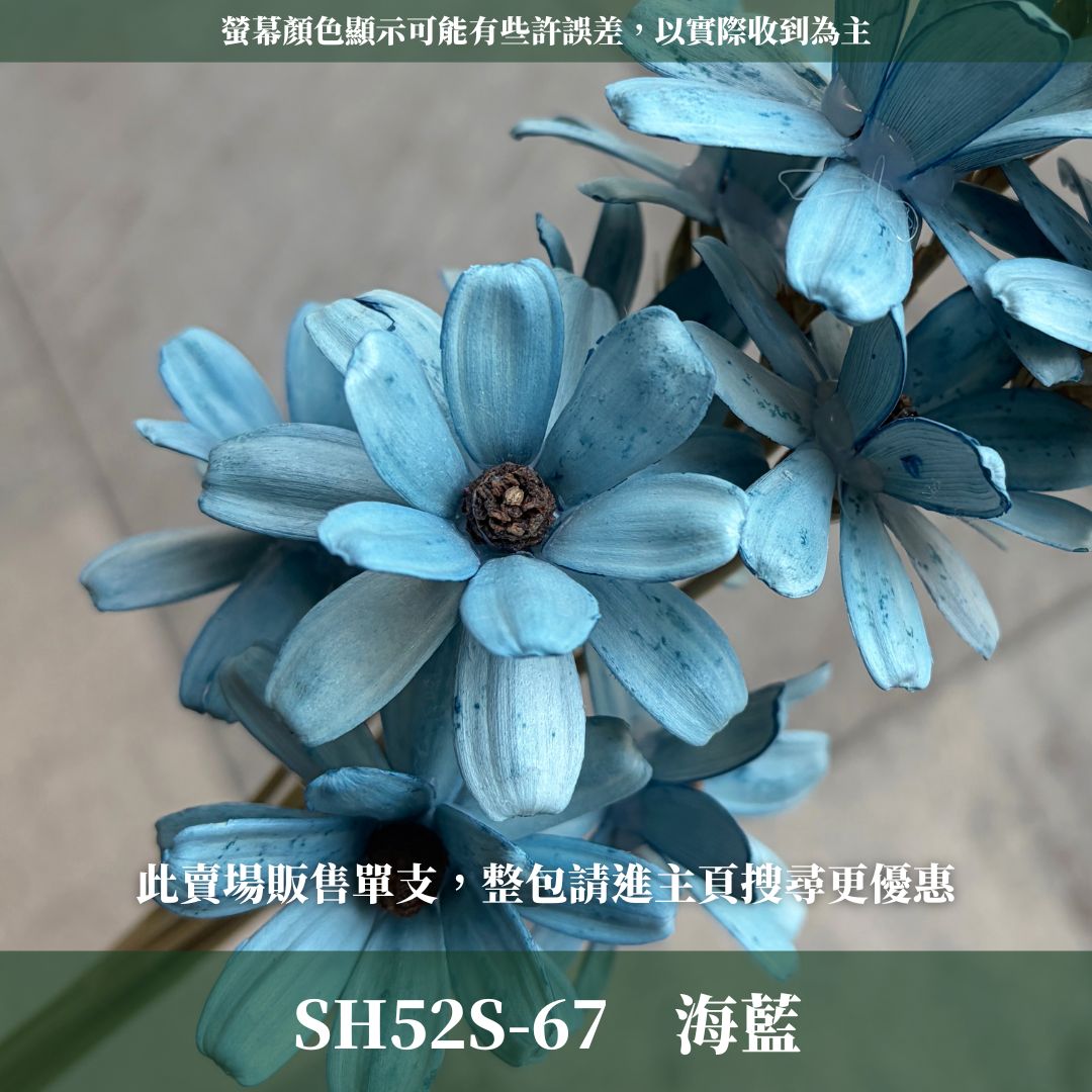 SH52S 小雛菊瓜子花單支｜5cm｜木片花 手工花 乾燥花 乾花新瓜子花 不凋花 永生花 花束花材 捧花材料 胸花手作