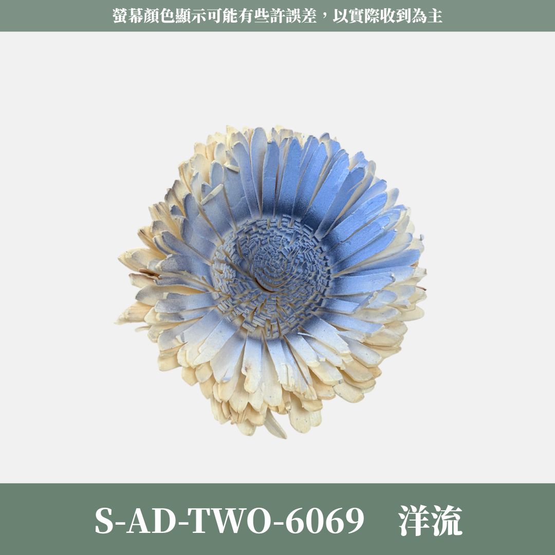 秋季感恩回饋｜S-AD-TWO 原裝雙色噴染太陽索拉花花頭｜限量款｜乾燥太陽花 索拉花 樹皮花 通草花 畢業乾燥向日葵