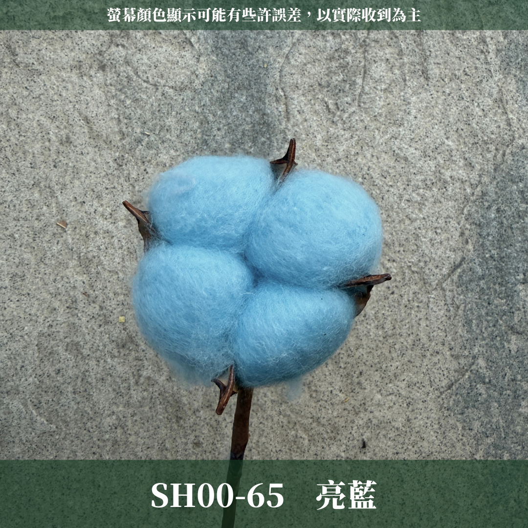 SH00s 棉花單支｜12+6種顏色 特殊五辦棉花特殊款 白色棉花 天然棉花 乾燥花 花藝 多色棉花 棉花 手工花 裝飾