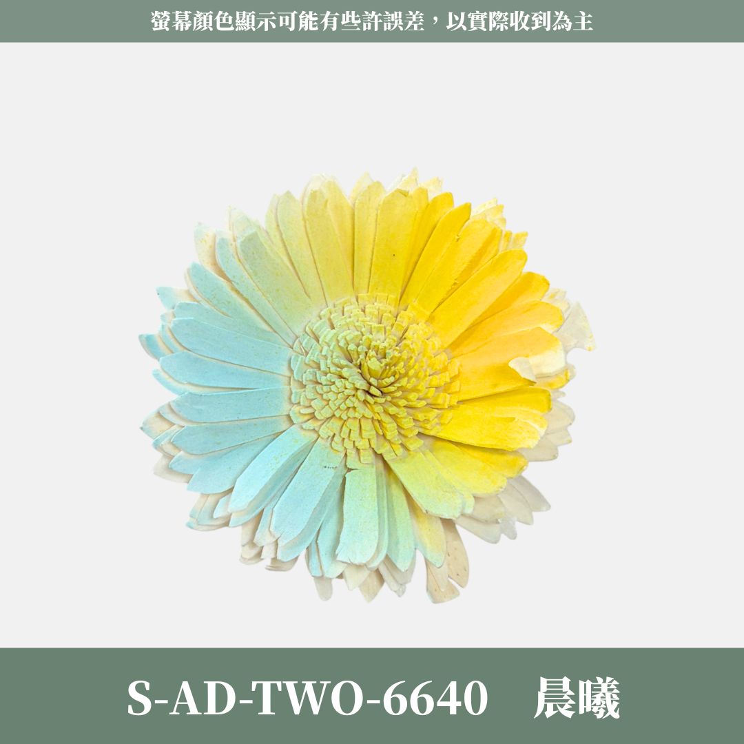 秋季感恩回饋｜S-AD-TWO 原裝雙色噴染太陽索拉花花頭｜限量款｜乾燥太陽花 索拉花 樹皮花 通草花 畢業乾燥向日葵
