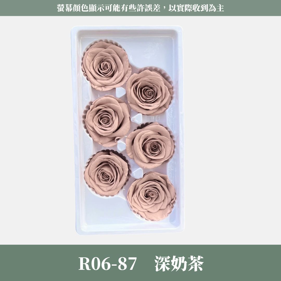 R06 A級六輪玫瑰｜約 5-6 cm｜花藝師必買 不凋大玫瑰花頭 永生玫瑰 香頌玫瑰 甦醒玫瑰 花束材料 捧花材料
