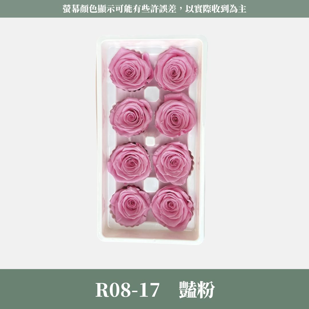 R08 A級八輪玫瑰｜約 4-5 cm｜花藝師必買 不凋大玫瑰花頭 永生玫瑰 香頌玫瑰 甦醒玫瑰 花束材料 捧花材料