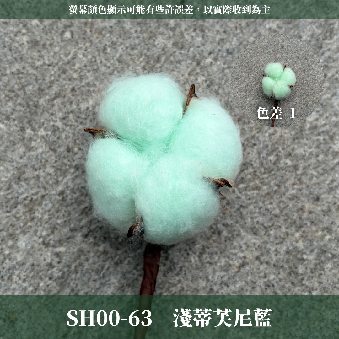 SH00s 棉花單支｜12+6種顏色 特殊五辦棉花特殊款 白色棉花 天然棉花 乾燥花 花藝 多色棉花 棉花 手工花 裝飾
