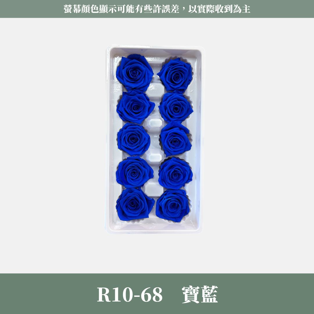 R10s A級十輪玫瑰｜買十朵省130元｜約 3-4 cm｜花藝師必買 不凋大玫瑰花頭 永生玫瑰 花束材料 捧花材料