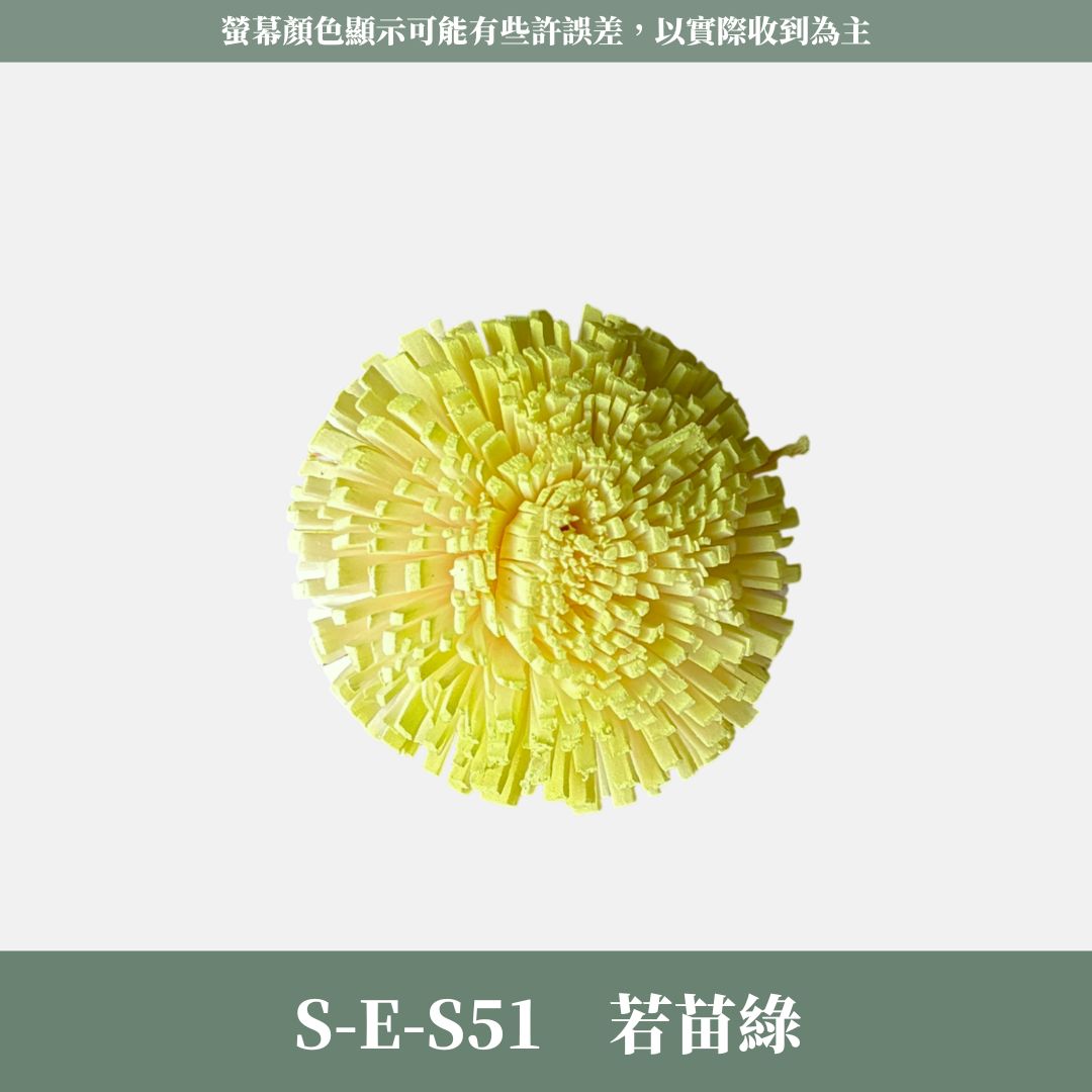 S-E 5CM乒乓菊索拉花｜五入原裝｜索拉花乾燥花 通草花 擴香花 微笑乒乓菊DIY 笑哈哈花束花材 乒乓花 乾燥花