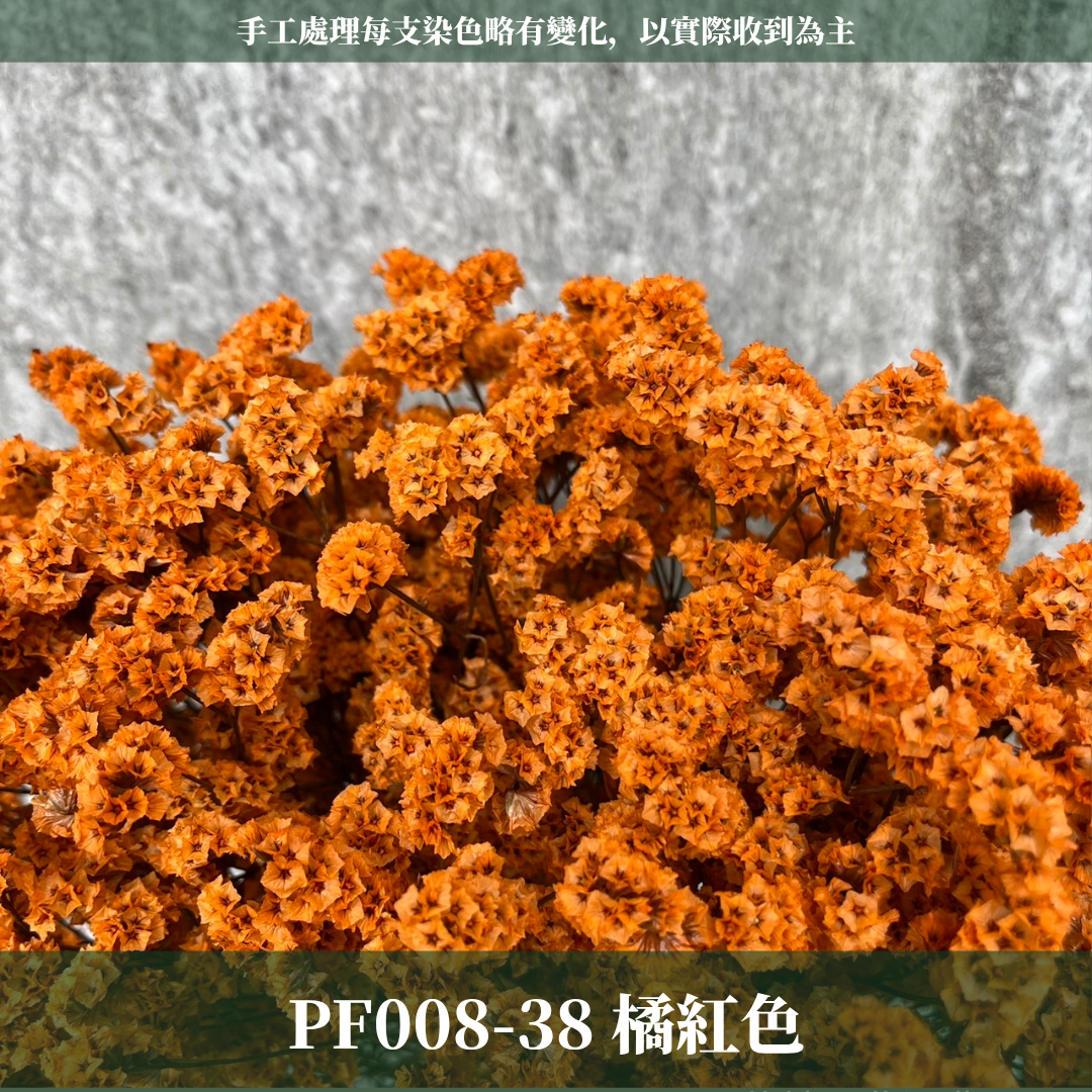 PF008 原裝水晶花｜現貨