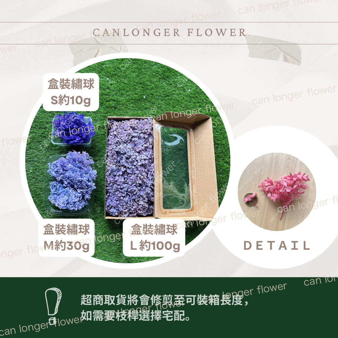 ✿ 台灣現貨 ✿ pf005L安娜繡球 (約100克) 盒裝紫陽花 夢幻漸變繡球 永生花 小份量 DIY花材 花藝