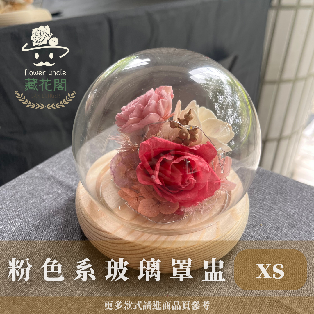 GSZXS10 粉色系永生玫瑰罩盅XS(帶燈)