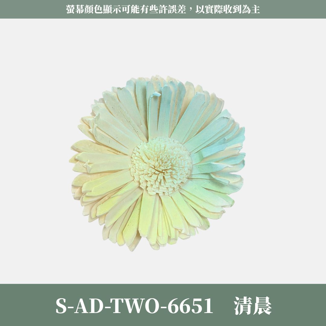 秋季感恩回饋｜S-AD-TWO 原裝雙色噴染太陽索拉花花頭｜限量款｜乾燥太陽花 索拉花 樹皮花 通草花 畢業乾燥向日葵