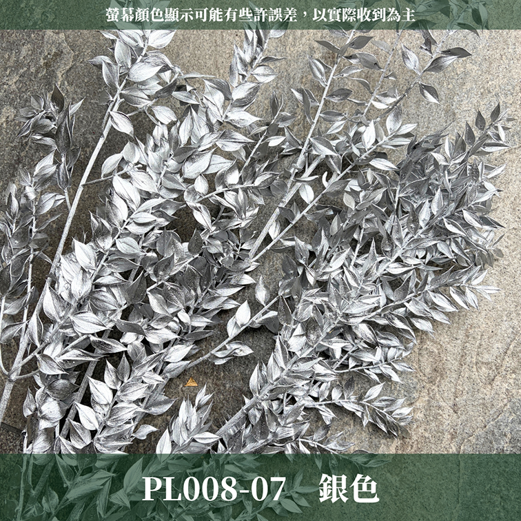 PL008 原裝永生富貴葉｜共五色！永生葉材 批發價 金色富貴葉 銀色富貴葉 乾燥花 永生花 熊貓竹 花藝材料 不凋花
