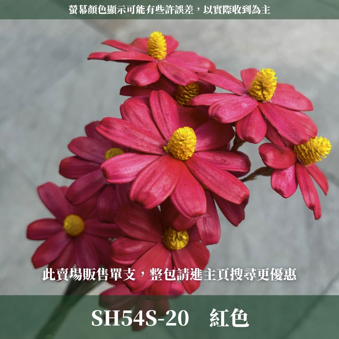 SH54S 木片瑪格麗特｜單支｜乾燥花批發 瓜子花 小雛菊 不凋花 木春菊 花藝設計 拍照道具 手工花 DIY 花藝插花