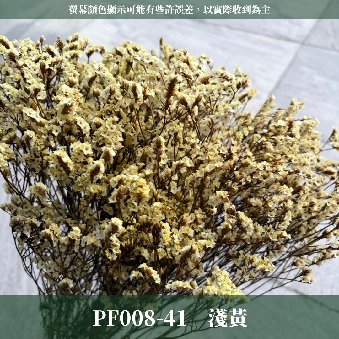 PF008 原裝水晶花｜買四送一｜花藝師必買！永生水晶花 不凋水晶花 手作花材 花藝DIY 雪花草 花材 浮游花 乾燥花