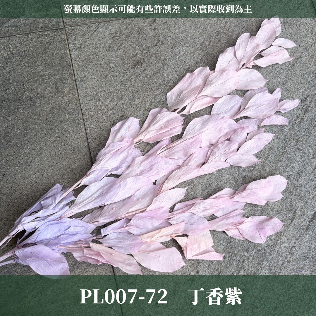 PL007 原裝玉竹葉｜夢幻紫色新登場｜進口不凋玉竹葉 永生桔葉 永生葉材 魚尾葉 桌花 乾燥葉材 花藝材料包 捧花