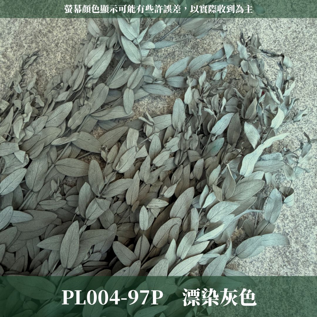 PL004 DL004 原裝細葉尤加利｜進口不凋細葉尤加利 乾燥花 永生花 不凋花 細葉尤加利 小葉尤加利 乾燥花束花材