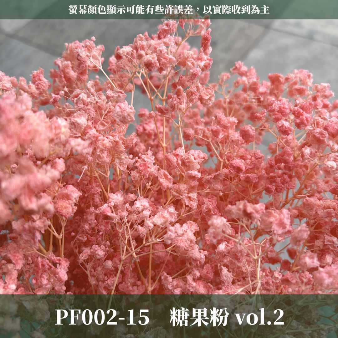 PF002 原裝夢幻星｜A級漂色滿天星 特級漂白滿天星 夢幻滿天星 永生花  乾燥花 拍照道具 店面佈置 DIY手作