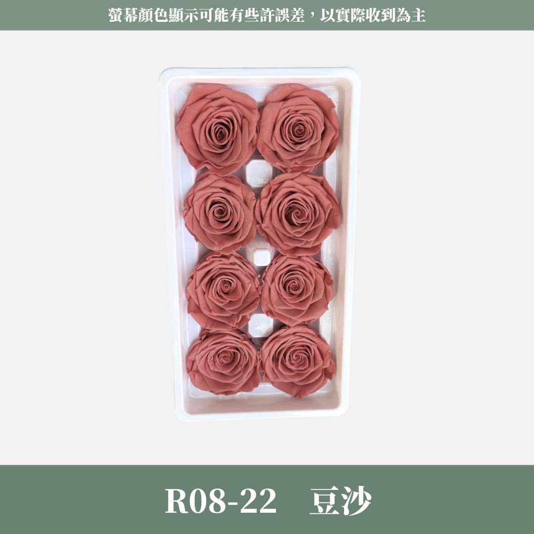 R08 A級八輪玫瑰｜約 4-5 cm｜花藝師必買 不凋大玫瑰花頭 永生玫瑰 香頌玫瑰 甦醒玫瑰 花束材料 捧花材料