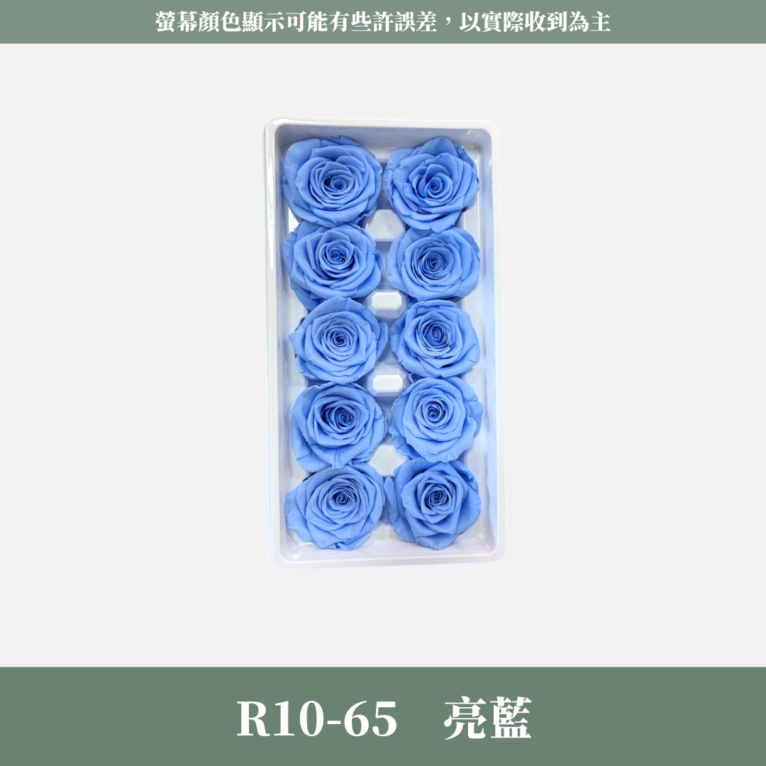 R10s A級十輪玫瑰｜買十朵省130元｜約 3-4 cm｜花藝師必買 不凋大玫瑰花頭 永生玫瑰 花束材料 捧花材料