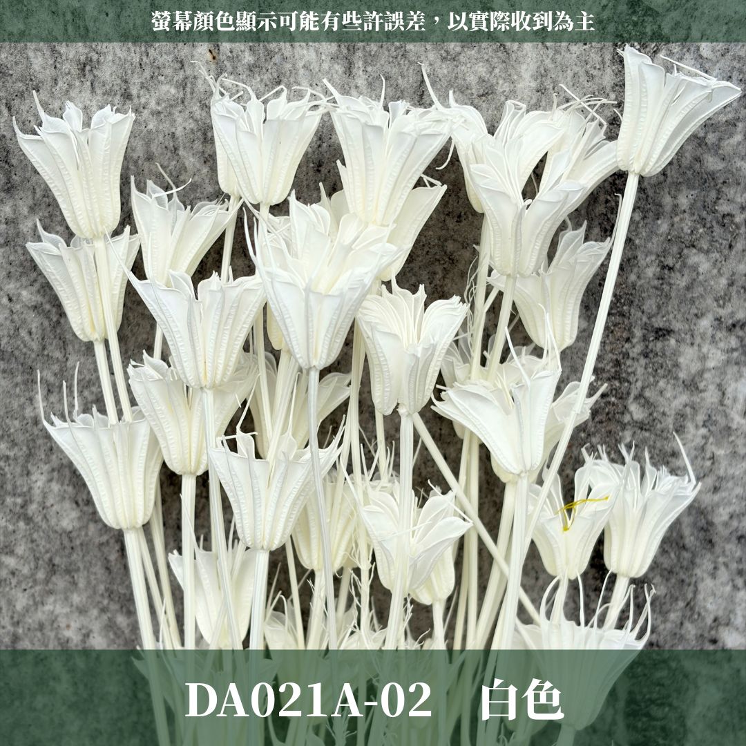DA021A 原裝糖果色木百合｜乾燥小百合 八角花 乾燥花材 花束 裝飾 DIY插花 浮游花 蠟燭材料 手作拍照道具