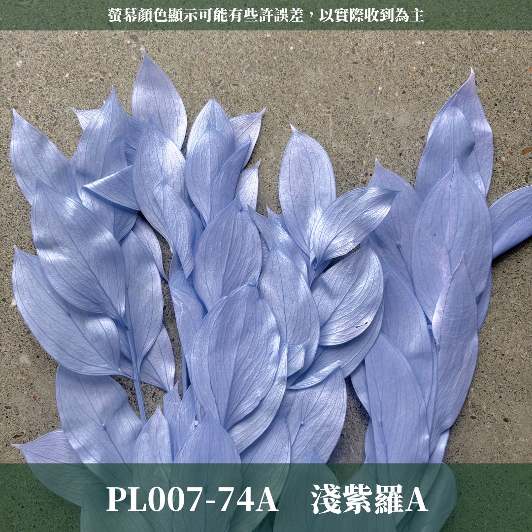 PL007 原裝玉竹葉｜夢幻紫色新登場｜進口不凋玉竹葉 永生桔葉 永生葉材 魚尾葉 桌花 乾燥葉材 花藝材料包 捧花