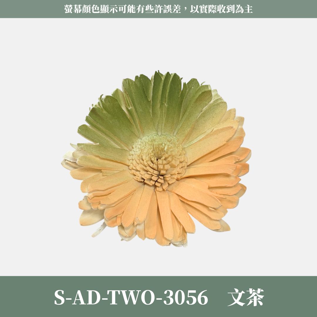 秋季感恩回饋｜S-AD-TWO 原裝雙色噴染太陽索拉花花頭｜限量款｜乾燥太陽花 索拉花 樹皮花 通草花 畢業乾燥向日葵