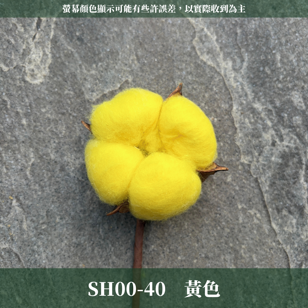 SH00s 棉花單支｜12+6種顏色 特殊五辦棉花特殊款 白色棉花 天然棉花 乾燥花 花藝 多色棉花 棉花 手工花 裝飾