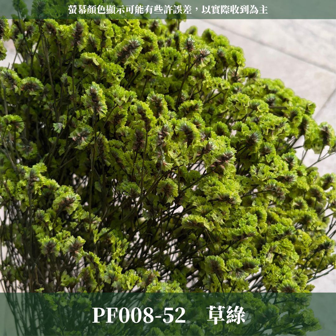 PF008 原裝水晶花｜買四送一｜花藝師必買！永生水晶花 不凋水晶花 手作花材 花藝DIY 雪花草 花材 浮游花 乾燥花