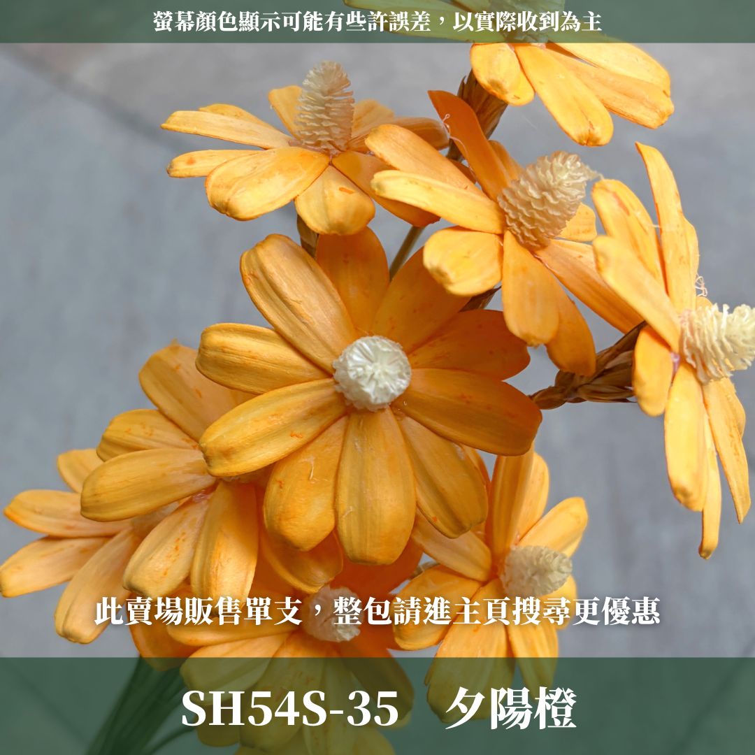 SH54S 木片瑪格麗特｜單支｜乾燥花批發 瓜子花 小雛菊 不凋花 木春菊 花藝設計 拍照道具 手工花 DIY 花藝插花