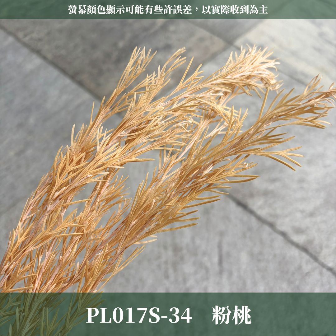 PL017S 銀樺經濟包｜不凋銀樺葉 永生花葉材 乾燥花 花藝配材 diy材料包 花藝批發 拍照道具 店面佈置 桌花材料