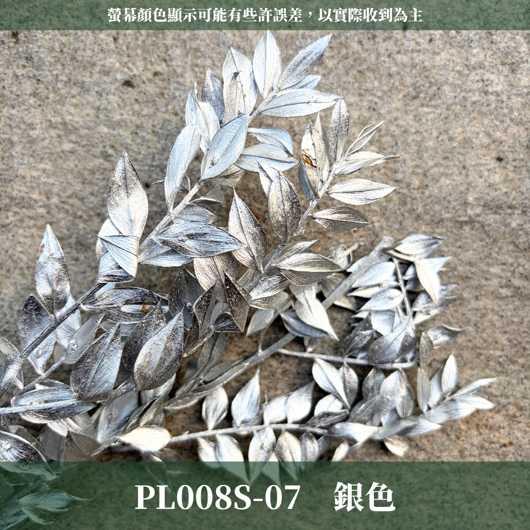 PL008S 永生富貴葉經濟包｜共五色！永生葉材 發財葉 批發價 乾燥花 永生花 熊貓竹 花藝材料 不凋花 小份量材料包