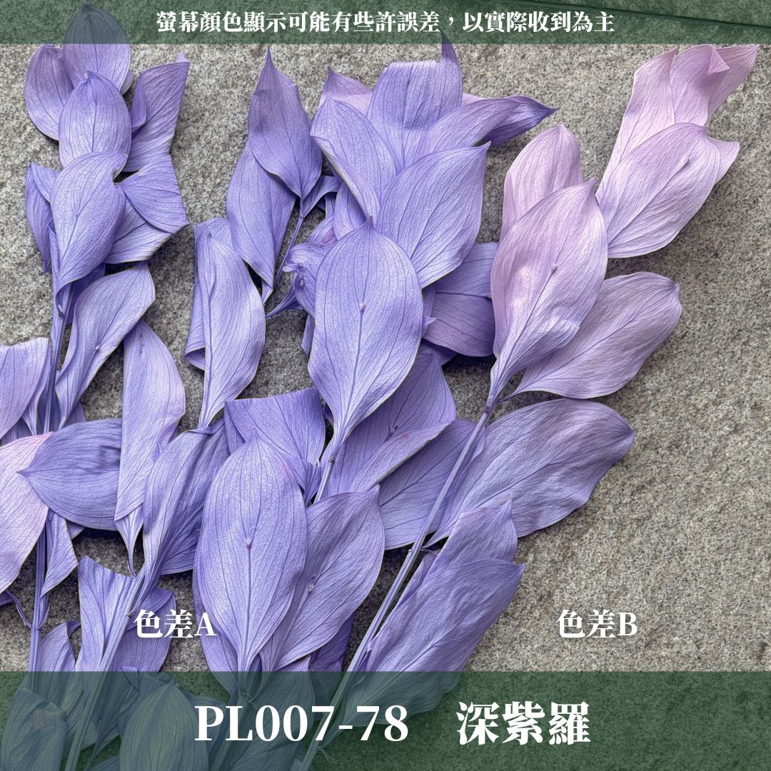 PL007 原裝玉竹葉｜夢幻紫色新登場｜進口不凋玉竹葉 永生桔葉 永生葉材 魚尾葉 桌花 乾燥葉材 花藝材料包 捧花