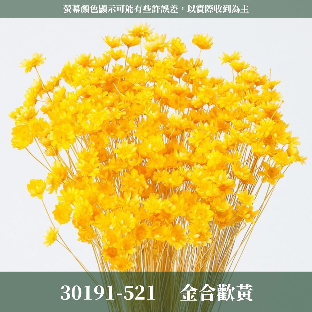 30191 日本小星花｜小星花 乾燥小星花 日本大地農園 進口花材 日本乾燥花 日本花材 スターフラワー・ブロッサム