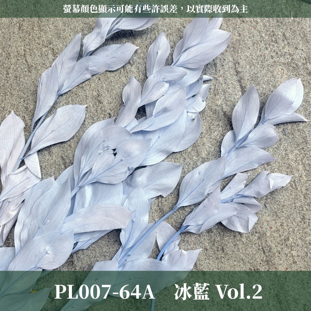 PL007 原裝玉竹葉｜夢幻紫色新登場｜進口不凋玉竹葉 永生桔葉 永生葉材 魚尾葉 桌花 乾燥葉材 花藝材料包 捧花