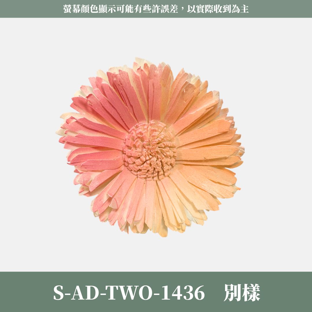秋季感恩回饋｜S-AD-TWO 原裝雙色噴染太陽索拉花花頭｜限量款｜乾燥太陽花 索拉花 樹皮花 通草花 畢業乾燥向日葵