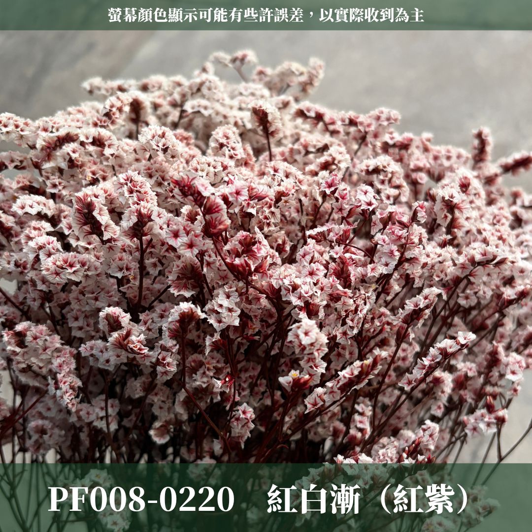 PF008 原裝水晶花｜買四送一｜花藝師必買！永生水晶花 不凋水晶花 手作花材 花藝DIY 雪花草 花材 浮游花 乾燥花