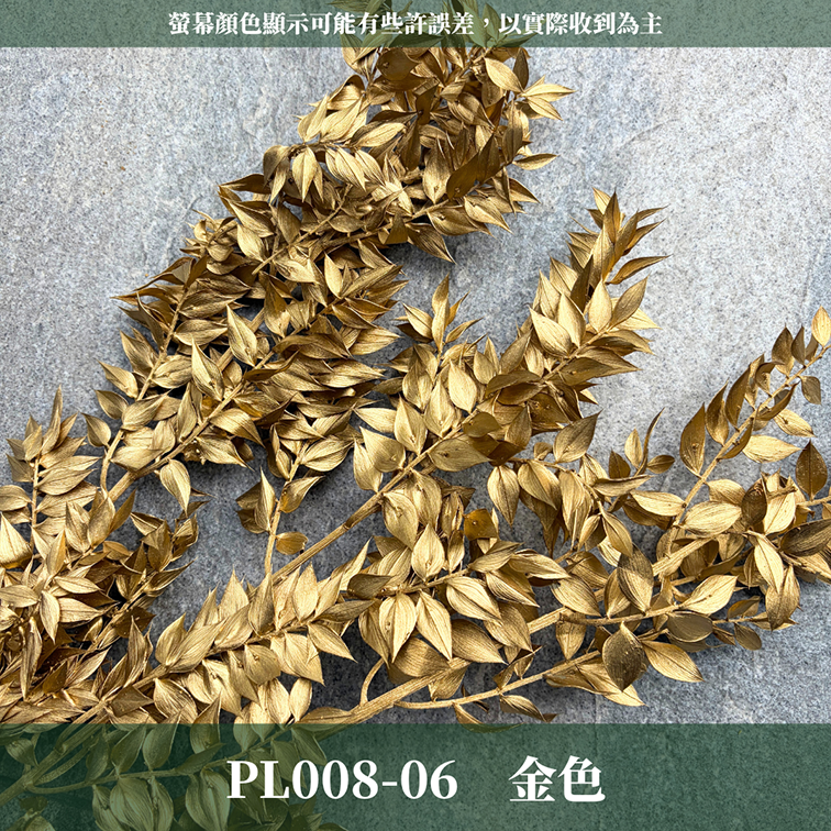 PL008 原裝永生富貴葉｜共五色！永生葉材 批發價 金色富貴葉 銀色富貴葉 乾燥花 永生花 熊貓竹 花藝材料 不凋花